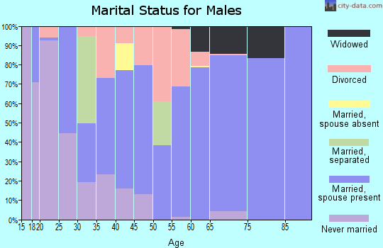 Zip code 45619 marital status for males