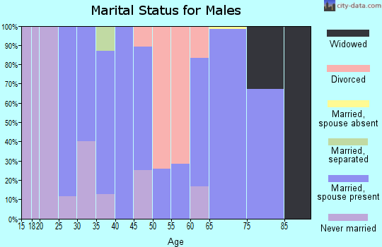 Zip code 45620 marital status for males