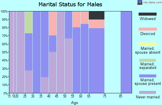Zip code 45621 marital status for males