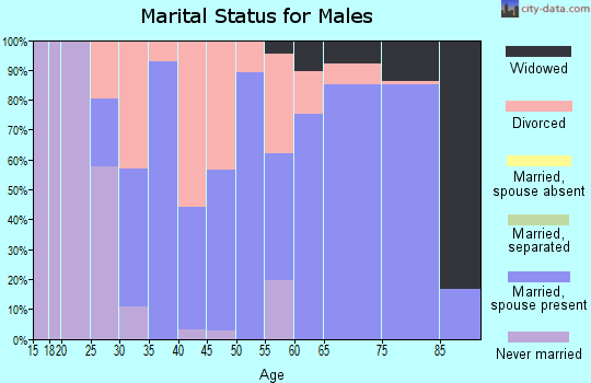 Zip code 45623 marital status for males