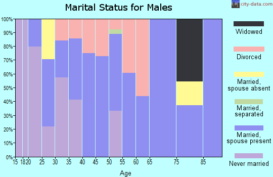 Zip code 45634 marital status for males