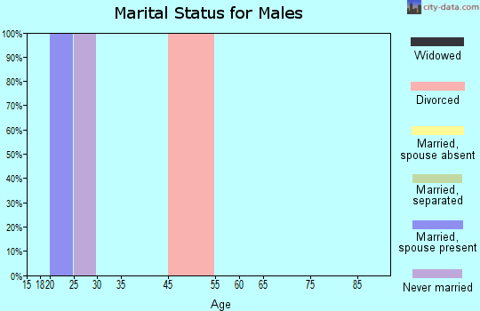 Zip code 45642 marital status for males