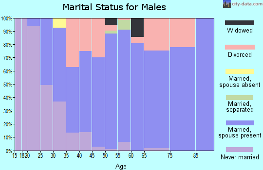 Zip code 45644 marital status for males
