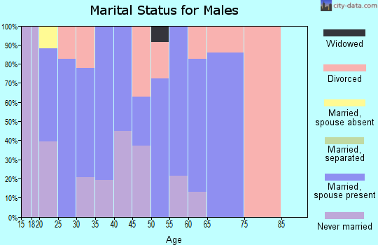 Zip code 45647 marital status for males
