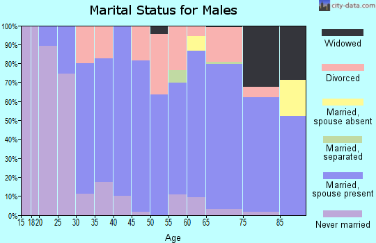 Zip code 45651 marital status for males