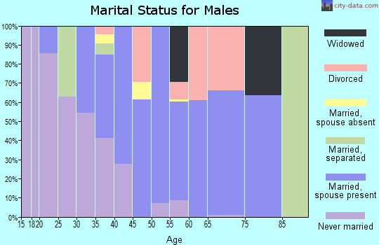 Zip code 45652 marital status for males