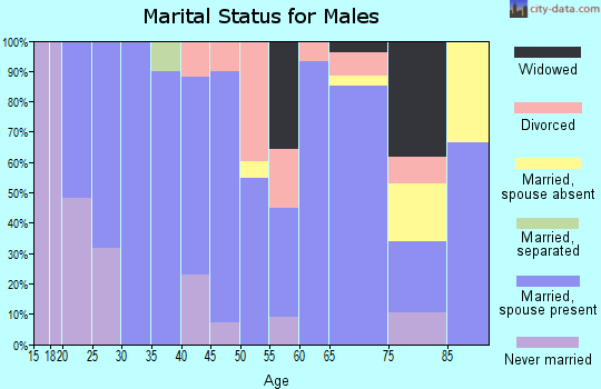 Zip code 45653 marital status for males