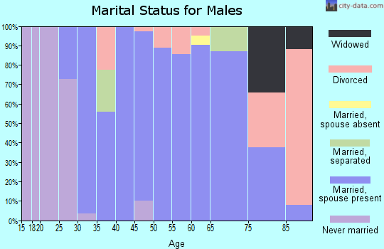 Zip code 45657 marital status for males