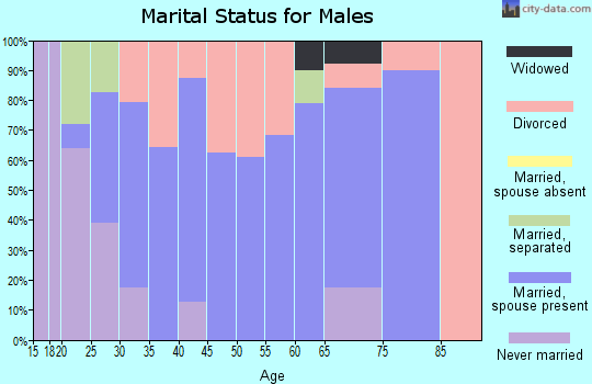 Zip code 45658 marital status for males