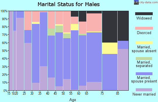 Zip code 45661 marital status for males
