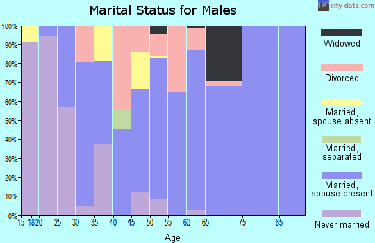 Zip code 45663 marital status for males