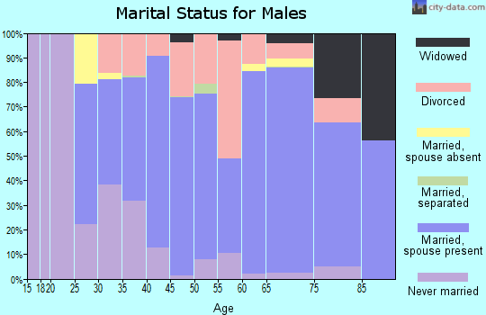 Zip code 45669 marital status for males