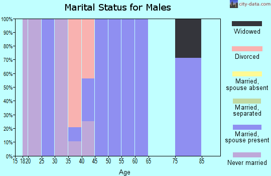 Zip code 45671 marital status for males