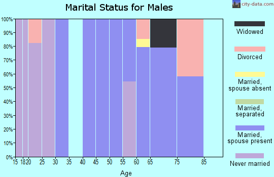 Zip code 45672 marital status for males
