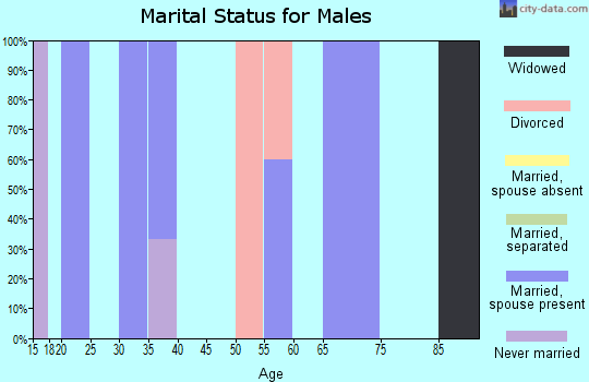 Zip code 45673 marital status for males