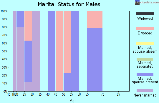 Zip code 45674 marital status for males