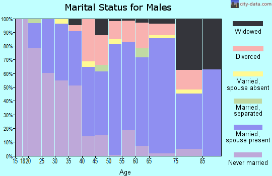 Zip code 45680 marital status for males