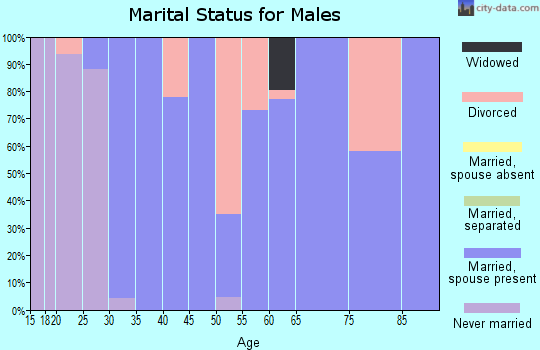 Zip code 45681 marital status for males
