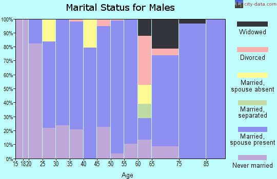 Zip code 45682 marital status for males