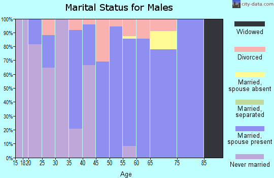 Zip code 45684 marital status for males