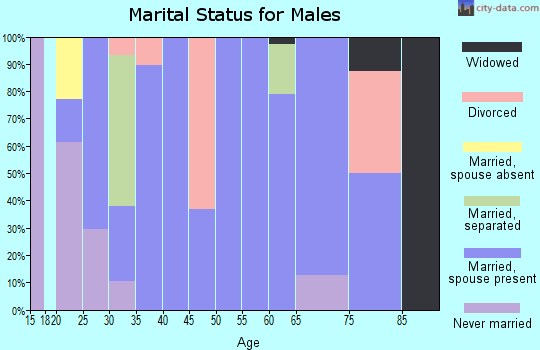 Zip code 45685 marital status for males