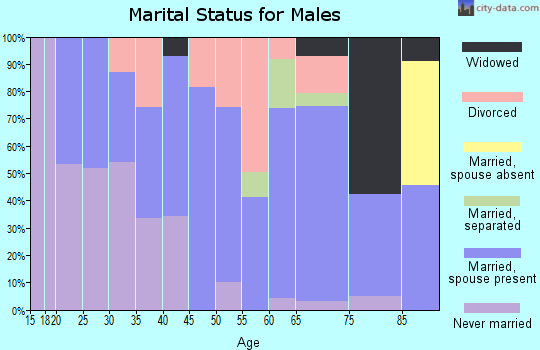 Zip code 45686 marital status for males