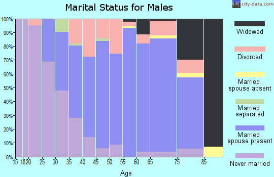 Zip code 45694 marital status for males