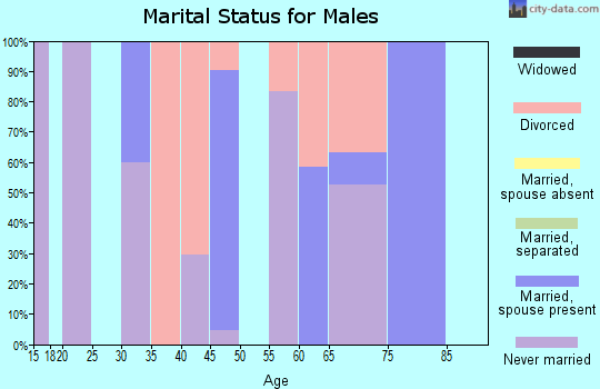 Zip code 45695 marital status for males