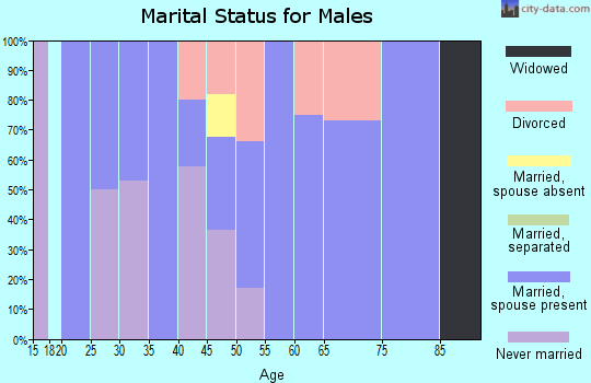 Zip code 45711 marital status for males