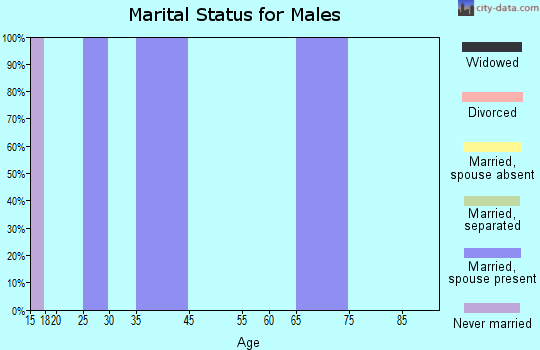 Zip code 45713 marital status for males