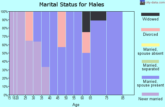 Zip code 45716 marital status for males