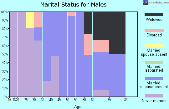 Zip code 45719 marital status for males