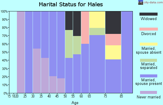 Zip code 45724 marital status for males