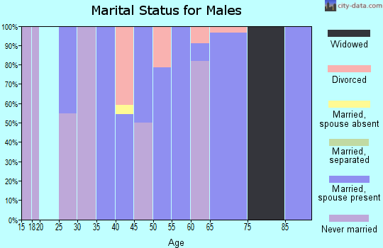 Zip code 45734 marital status for males