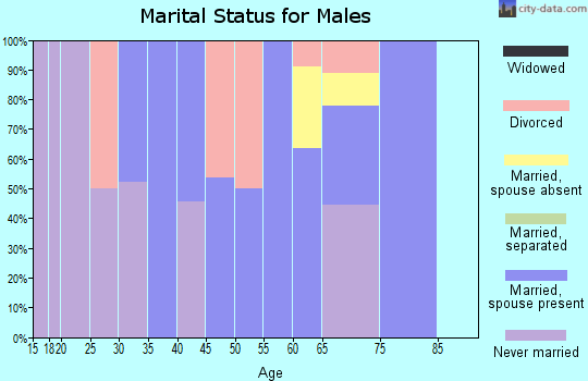 Zip code 45740 marital status for males