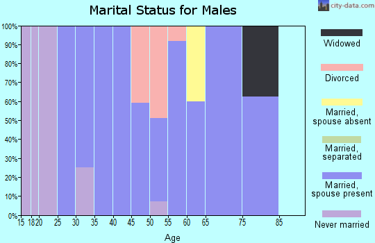 Zip code 45742 marital status for males