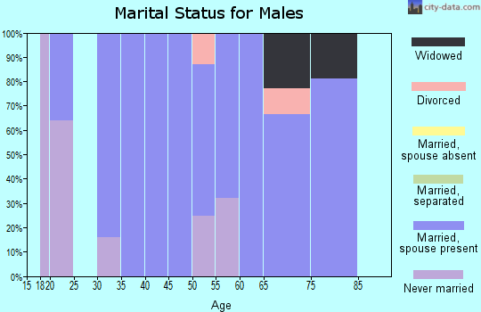Zip code 45743 marital status for males