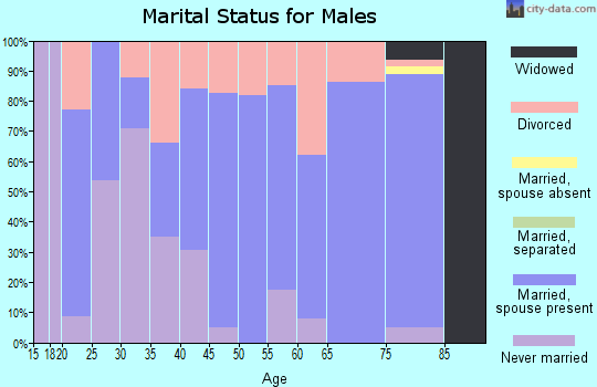 Zip code 45744 marital status for males