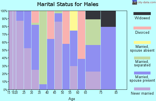 Zip code 45745 marital status for males