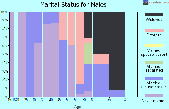 Zip code 45746 marital status for males