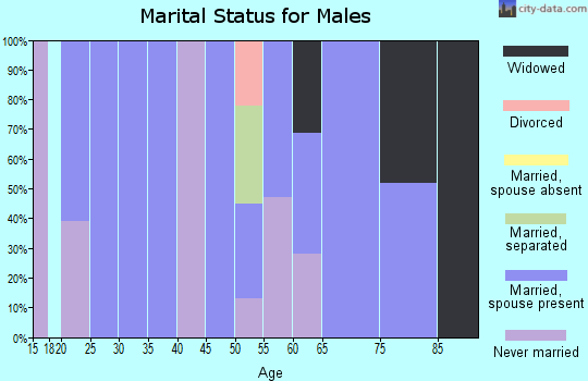 Zip code 45778 marital status for males
