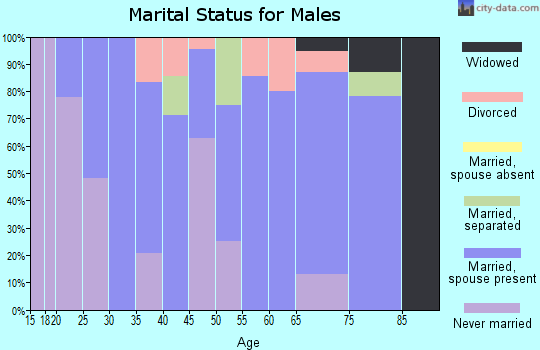 Zip code 45779 marital status for males
