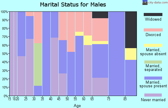 Zip code 45780 marital status for males