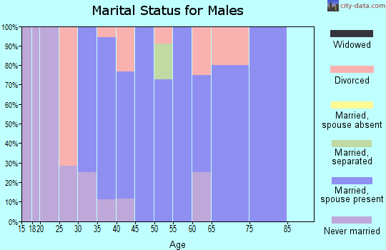 Zip code 45782 marital status for males