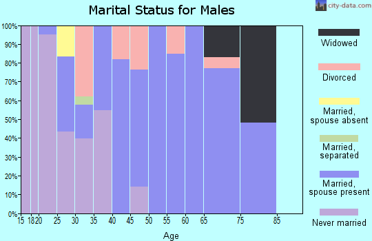 Zip code 45786 marital status for males