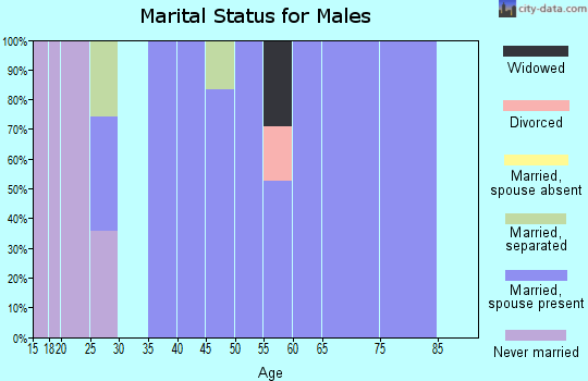 Zip code 45788 marital status for males