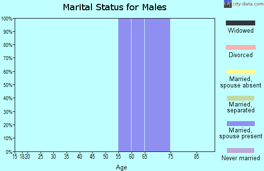 Zip code 45789 marital status for males