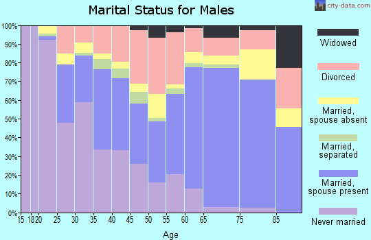 Zip code 45801 marital status for males
