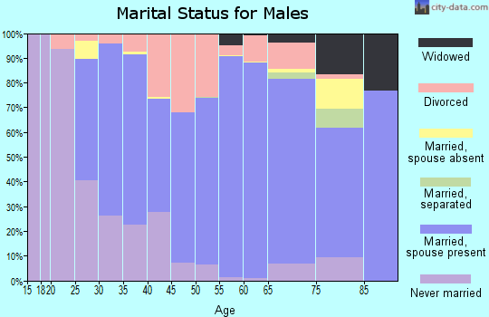 Zip code 45806 marital status for males