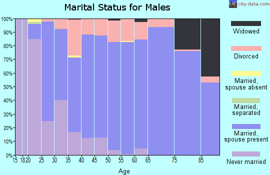Zip code 45807 marital status for males